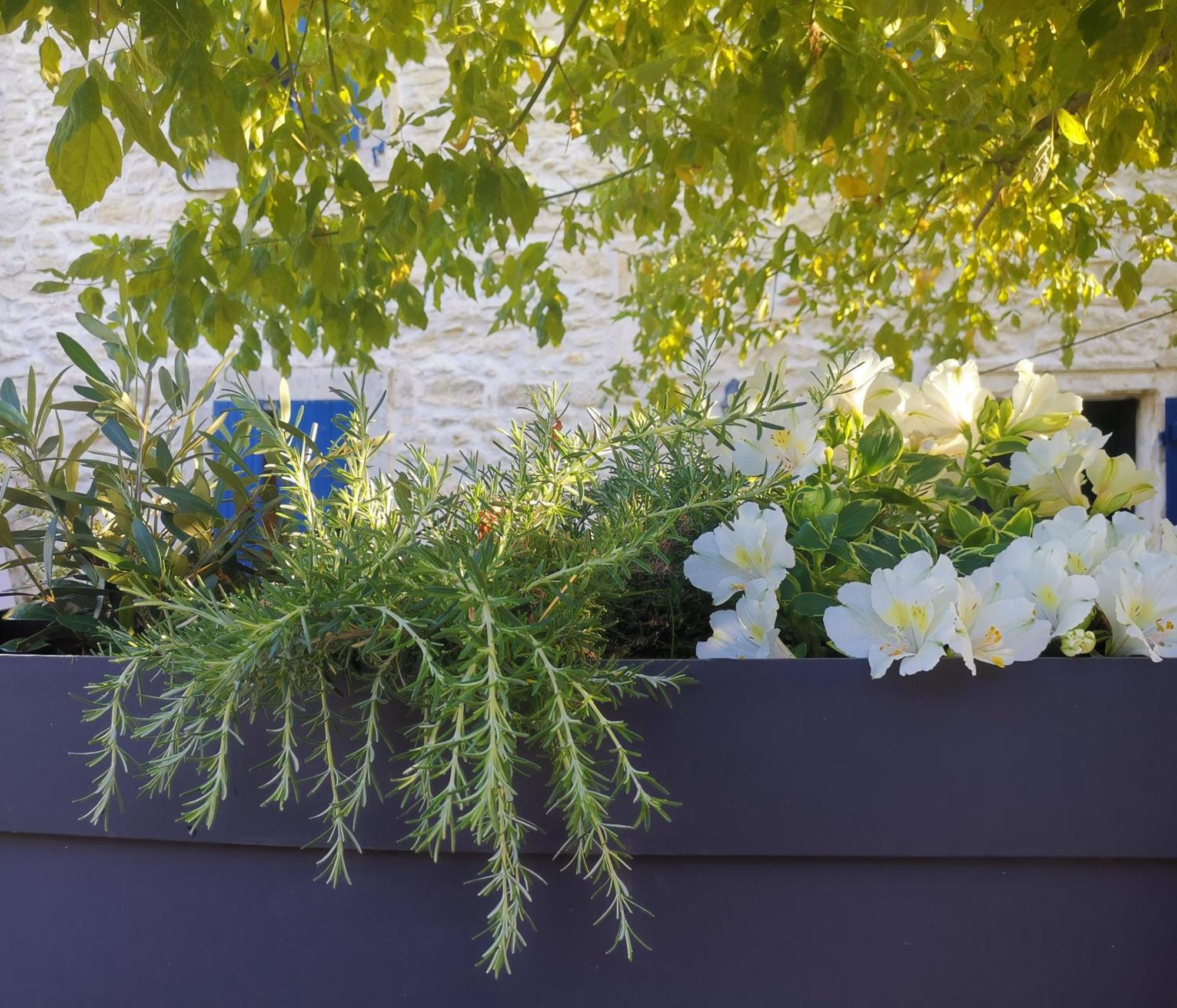 Namaste Home, Votre Havre De Paix A St Remy ! Parking Wifi Inclus Saint-Rémy-de-Provence Exterior photo