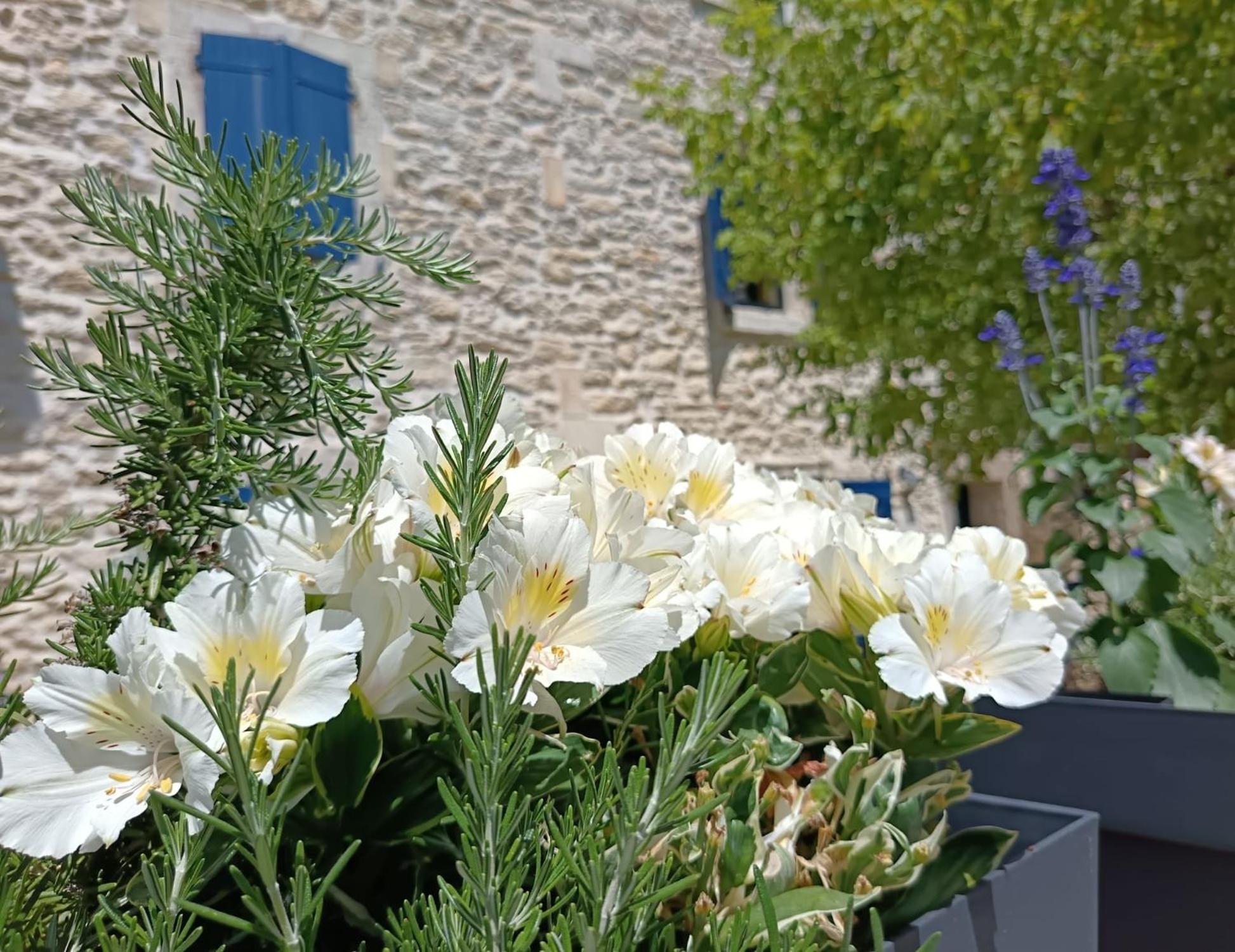 Namaste Home, Votre Havre De Paix A St Remy ! Parking Wifi Inclus Saint-Rémy-de-Provence Exterior photo