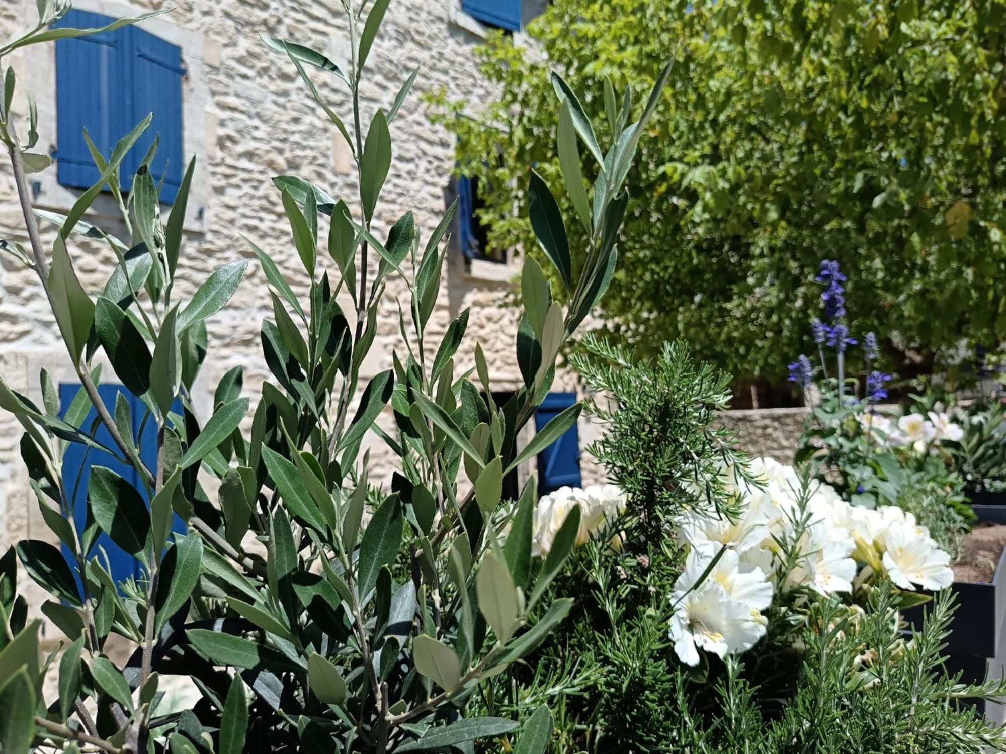 Namaste Home, Votre Havre De Paix A St Remy ! Parking Wifi Inclus Saint-Rémy-de-Provence Exterior photo